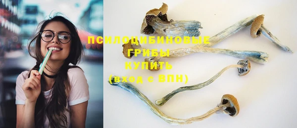 ешки Верхний Тагил