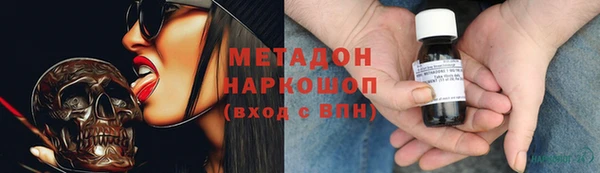 прущие грибы Верея