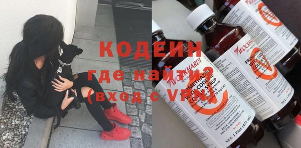 прущие грибы Верея
